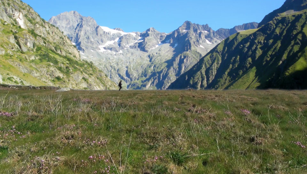 gull-montagne-libre-des-pieds-hacking-social